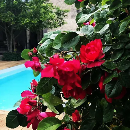 La Paresse En شقة