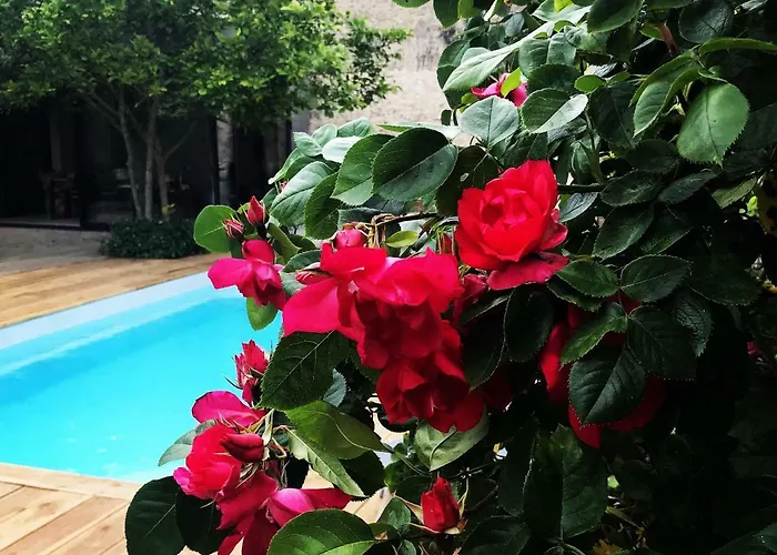 La Paresse En شقة